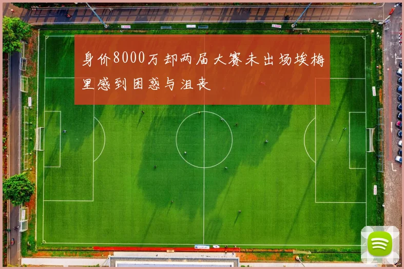 身价8000万却两届大赛未出场埃梅里感到困惑与沮丧